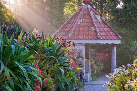 Tresco Abbey Garden