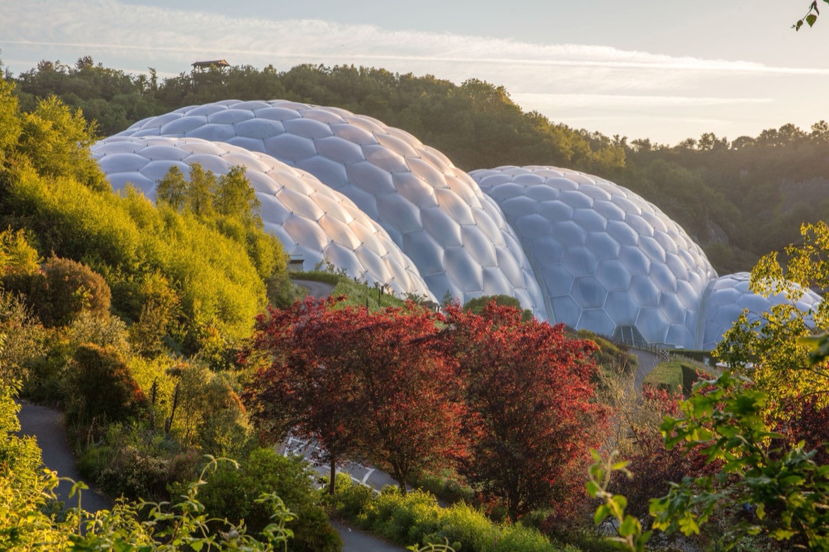 The Eden Project – photograph 3 of 23 by Clive Nichols