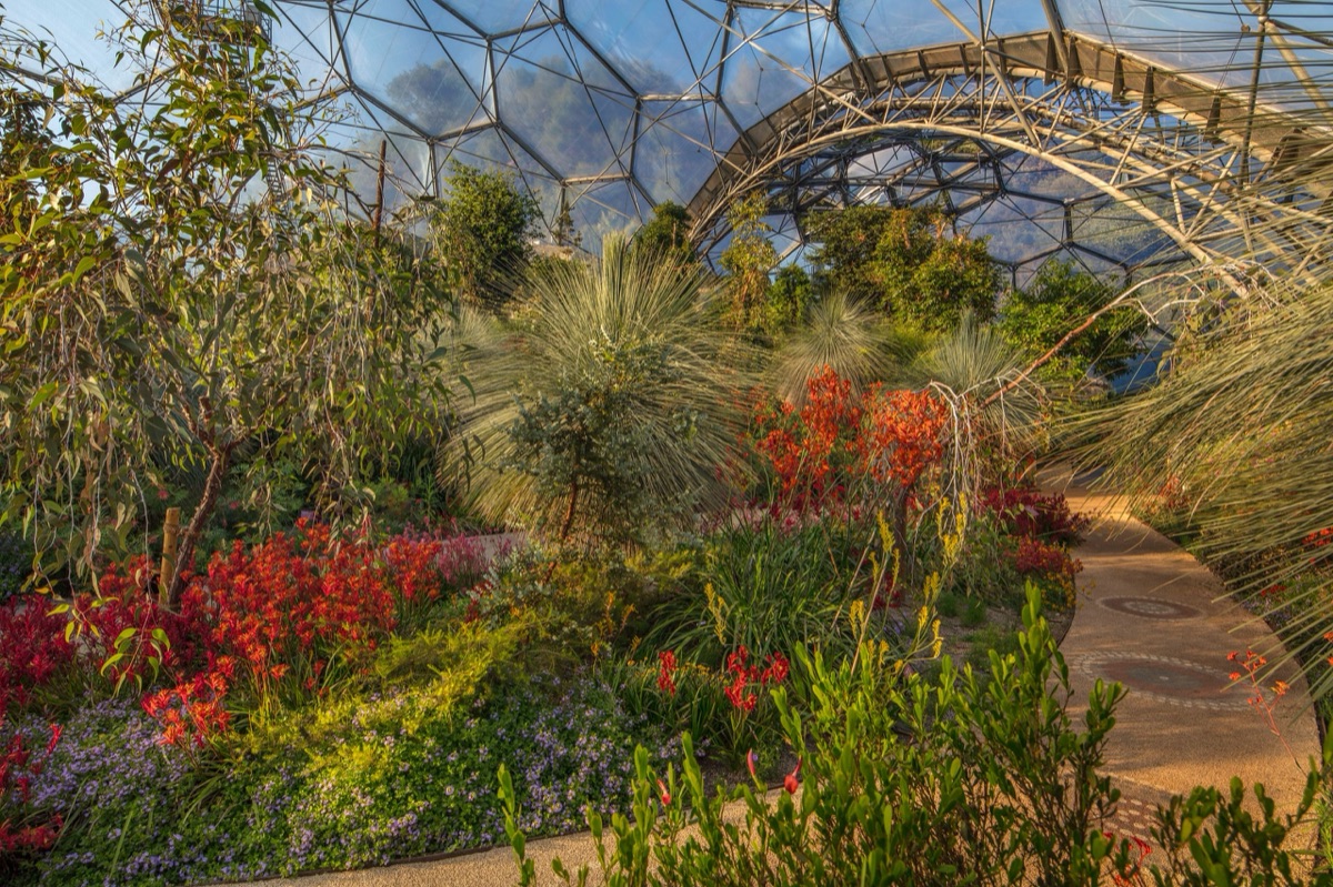The Eden Project – photograph 5 of 23 by Clive Nichols