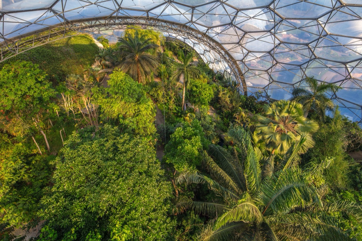 The Eden Project – photograph 7 of 23 by Clive Nichols