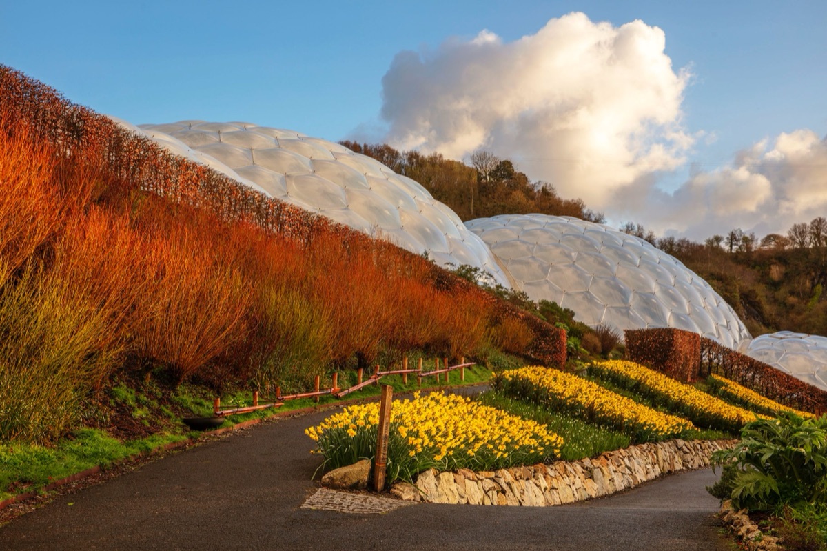The Eden Project – photograph 18 of 23 by Clive Nichols