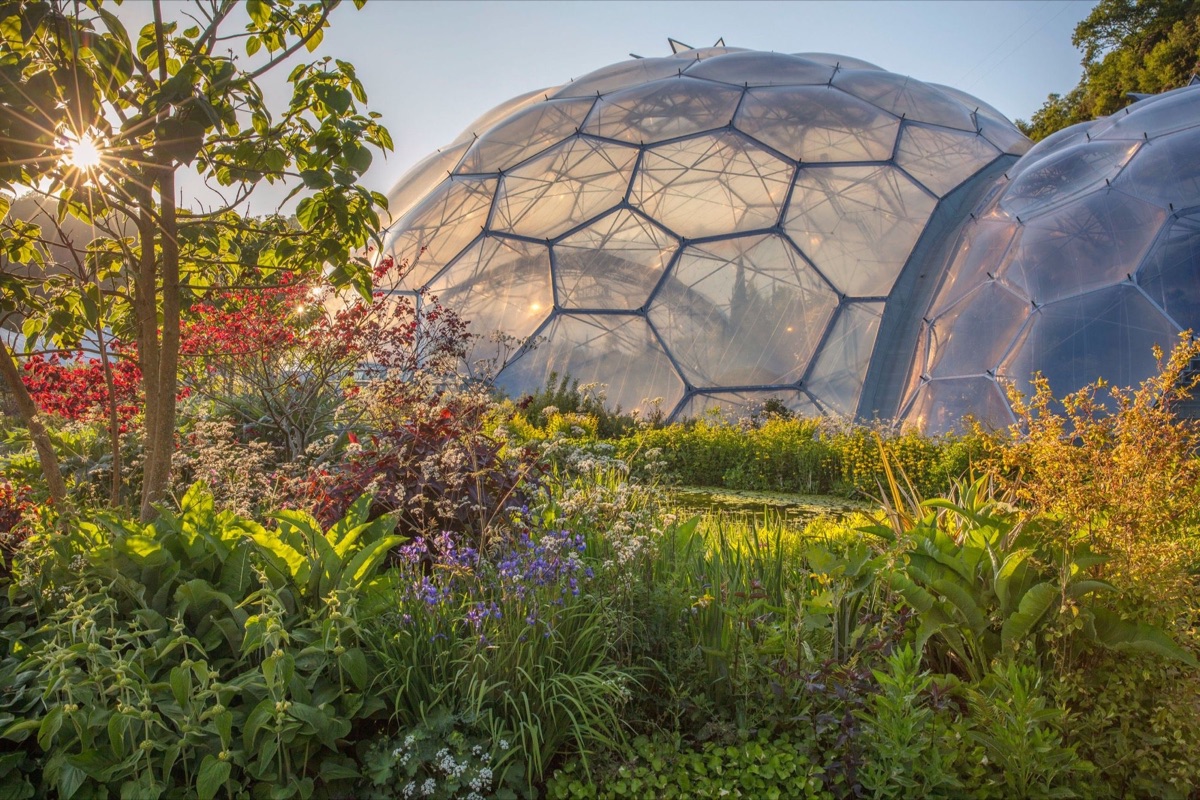 The Eden Project – photograph 1 of 23 by Clive Nichols