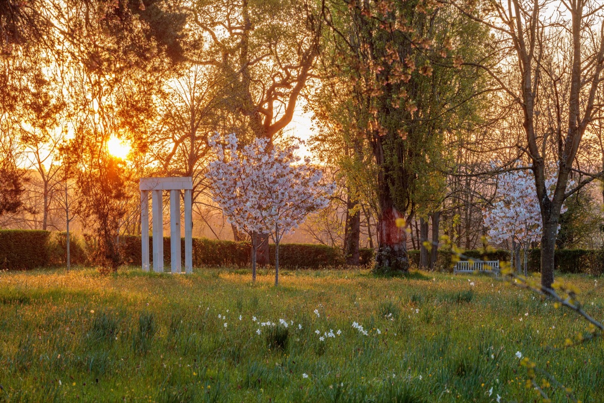 Morton Hall, Worcestershire; a garden for all seasons; the meadow at dawn in blossom, tulips in a myriad of colours and combinations, the abundant borders in high summer, spectacular autumn colour and in winter, under an icy blanket of frost.