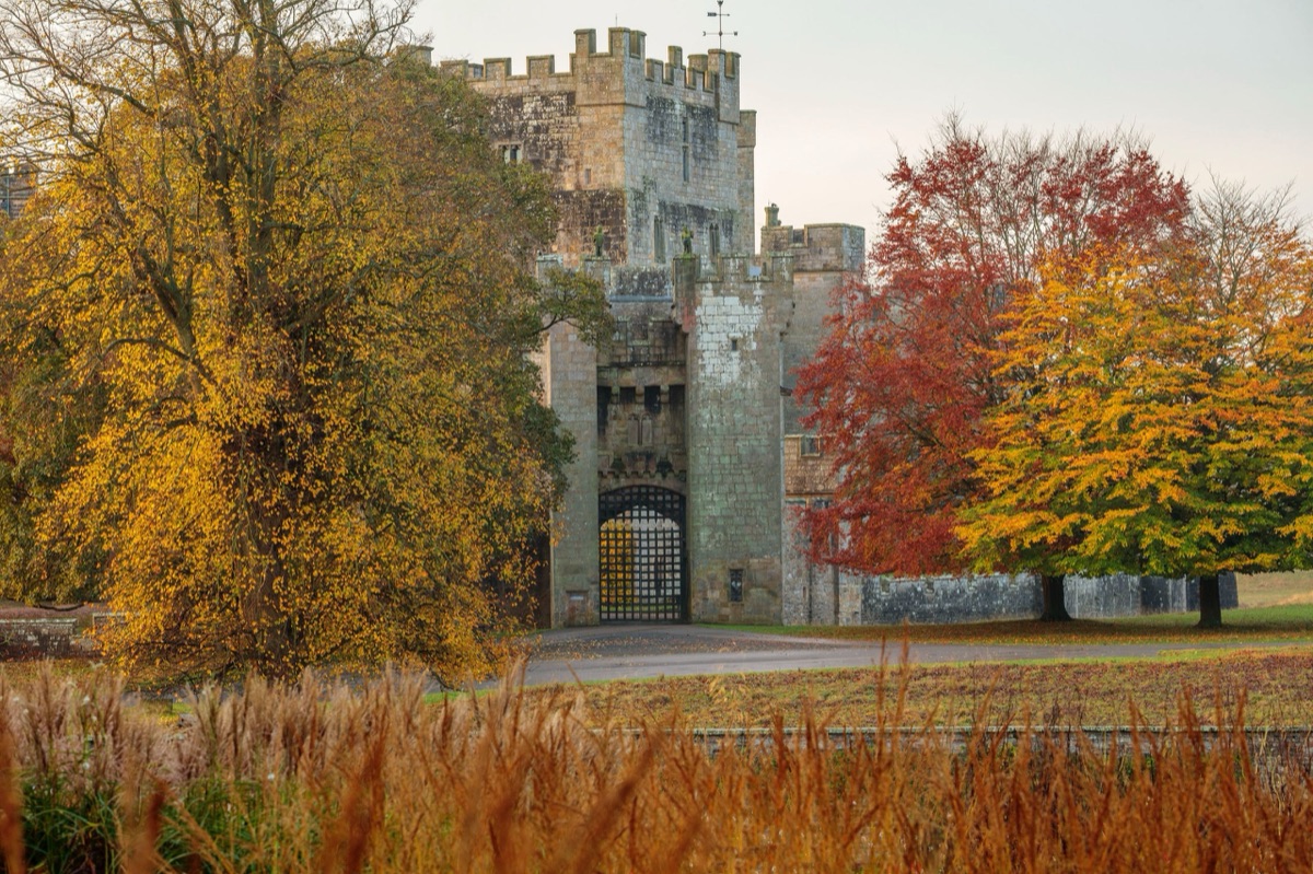 Raby Castle behind autumn trees and a field of grasses