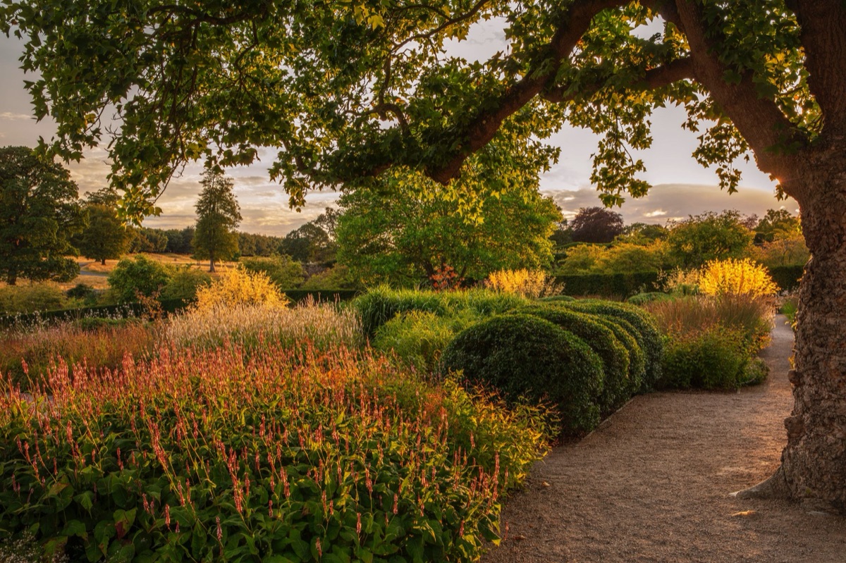 Raby Castle – photograph 7 of 13 by Clive Nichols