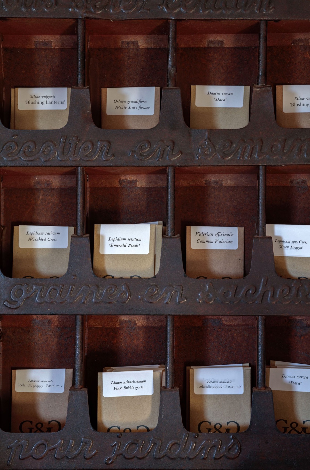 Seed collection – photograph 15 of 16 by Clive Nichols