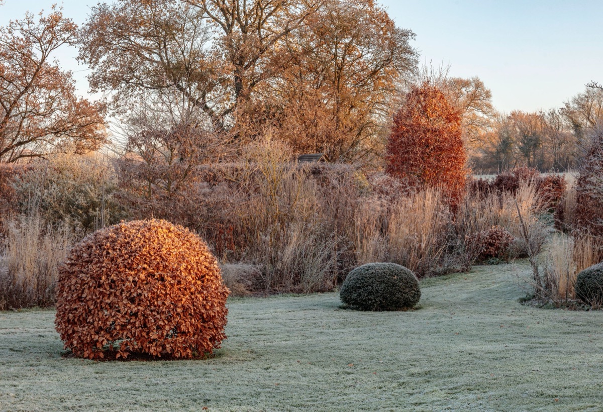 Silver Street Farm – photograph 9 of 23 by Clive Nichols