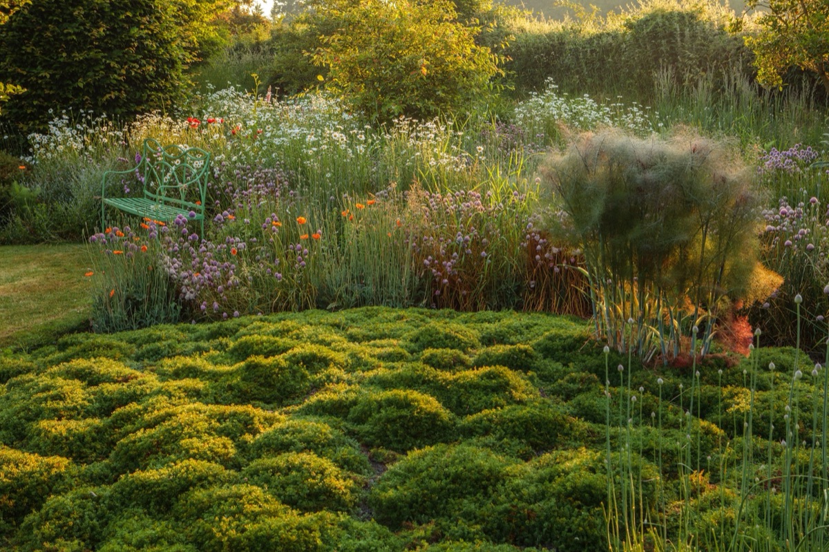 Silver Street Farm – photograph 12 of 23 by Clive Nichols