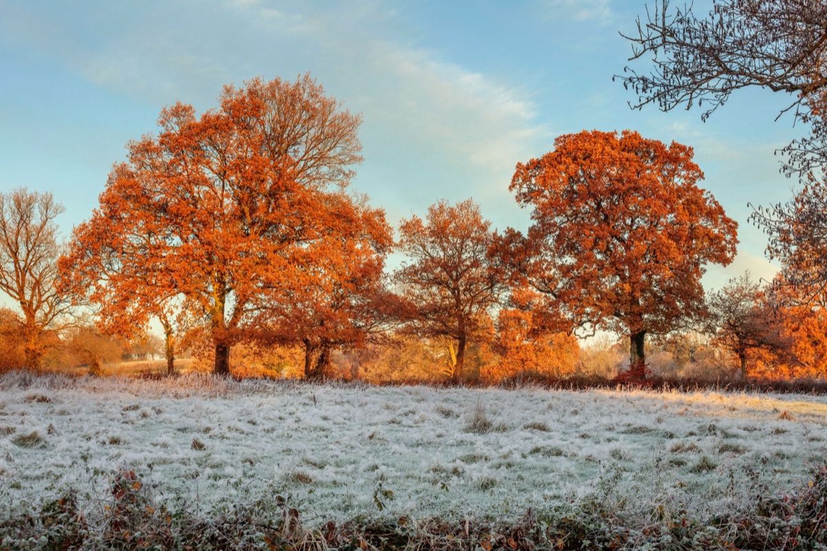 Silver Street Farm – photograph 14 of 23 by Clive Nichols