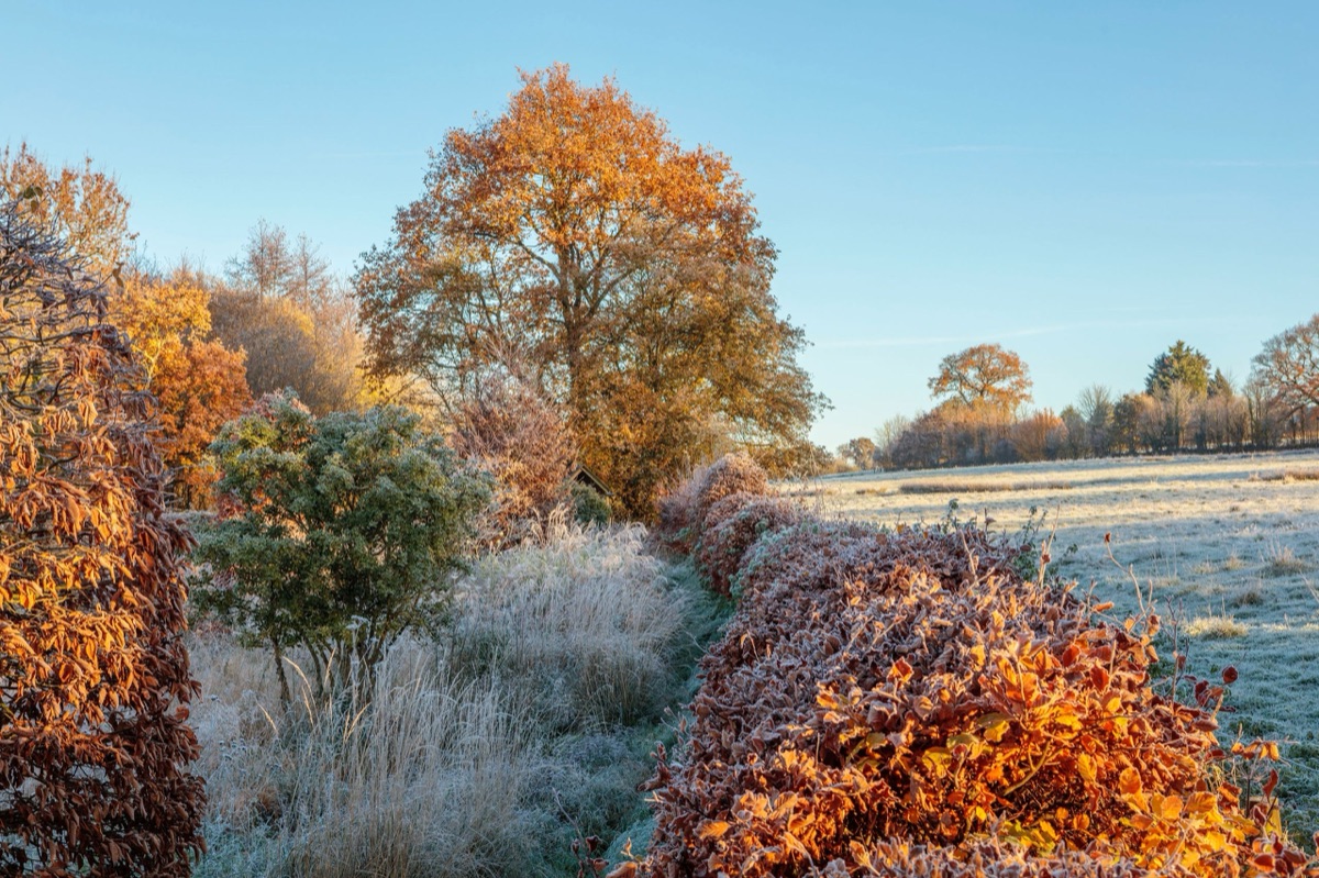 Silver Street Farm – photograph 15 of 23 by Clive Nichols
