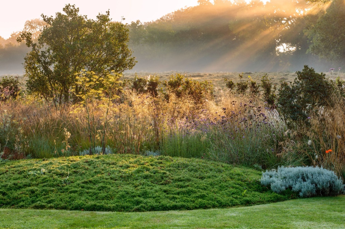 Silver Street Farm – photograph 23 of 23 by Clive Nichols