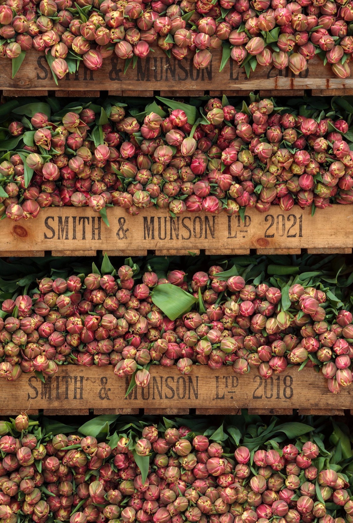 Smith & Munson – photograph 2 of 27 by Clive Nichols