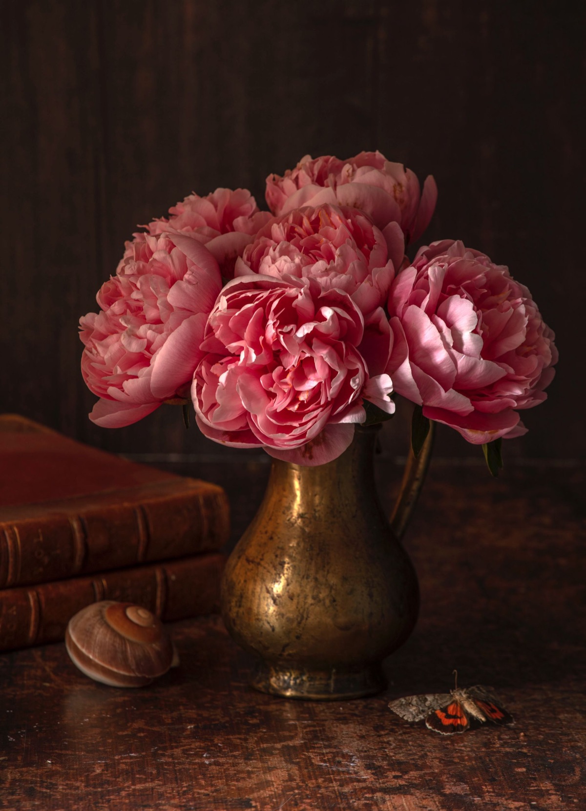 Smith & Munson – photograph 24 of 27 by Clive Nichols