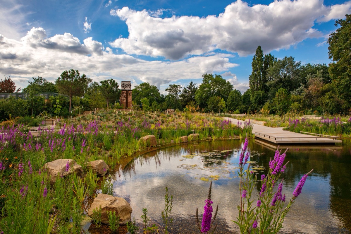 The Royal Parks – photograph 2 of 16 by Clive Nichols