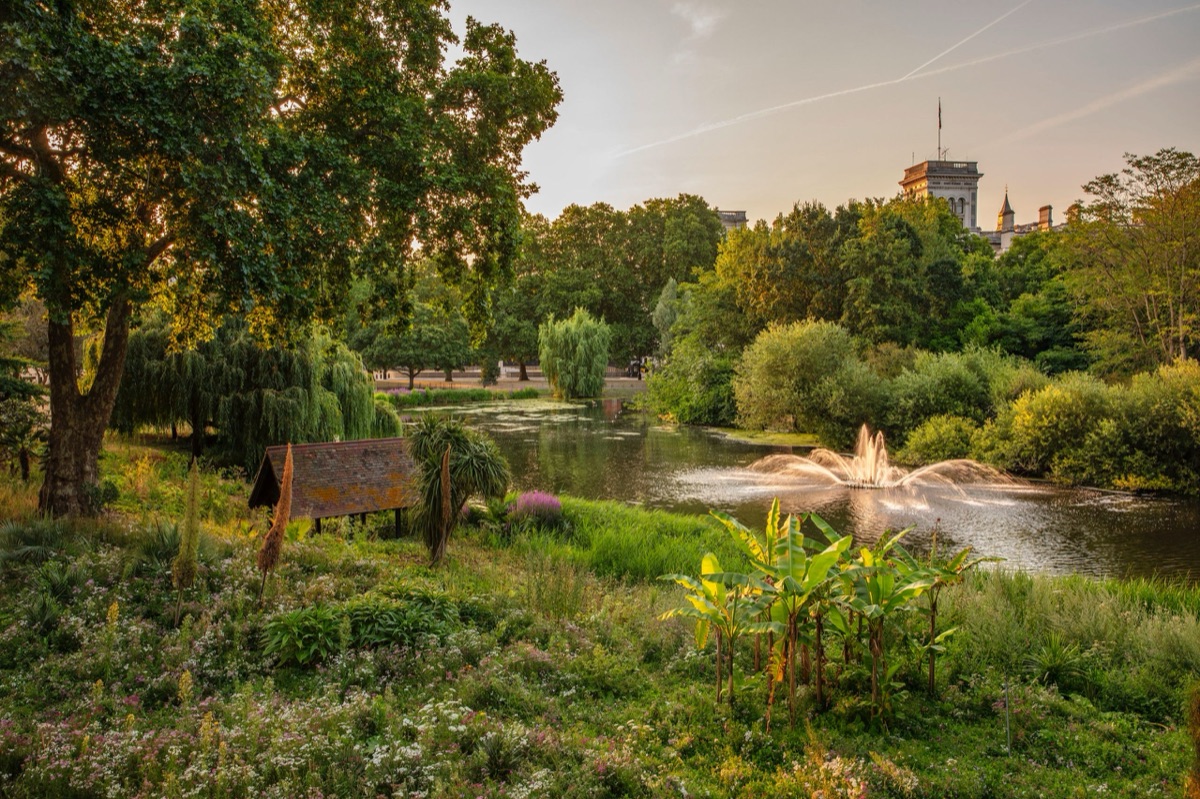 The Royal Parks – photograph 8 of 16 by Clive Nichols