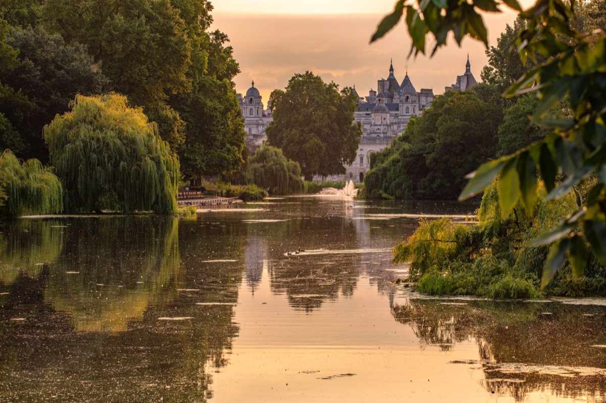 The Royal Parks – photograph 7 of 16 by Clive Nichols