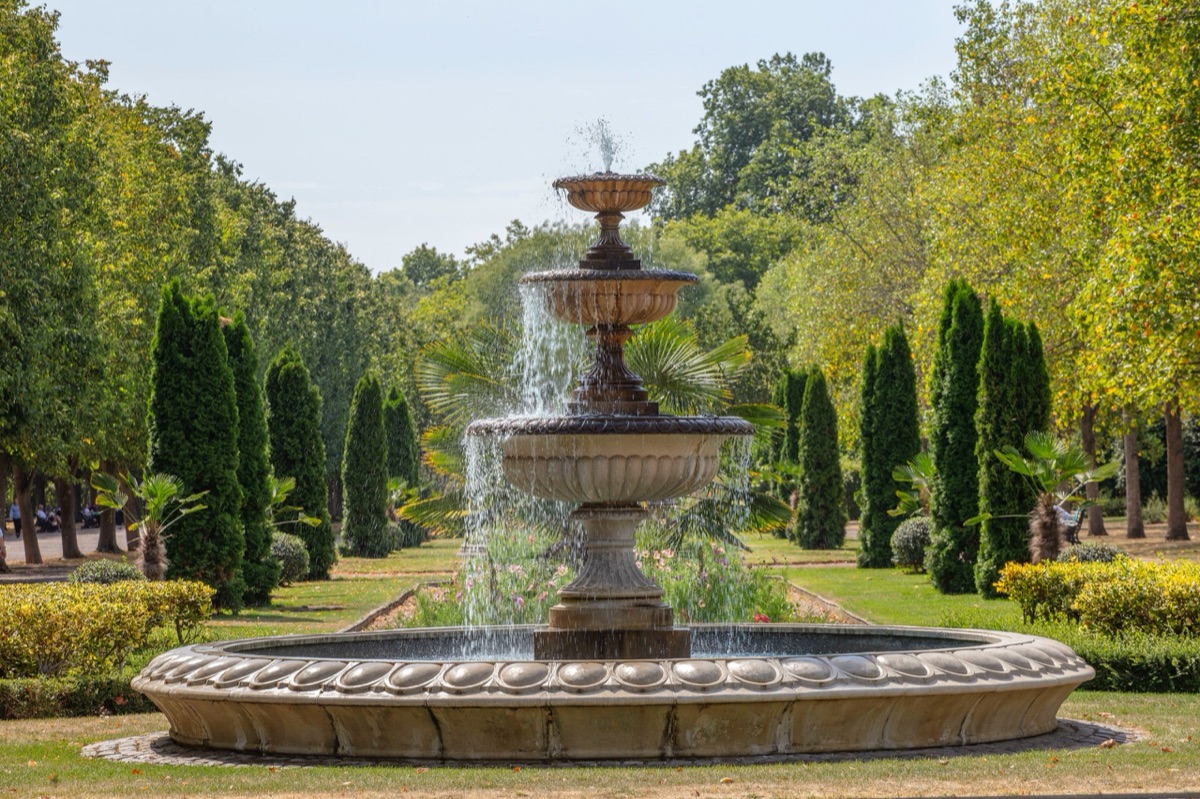 The Royal Parks – photograph 15 of 16 by Clive Nichols