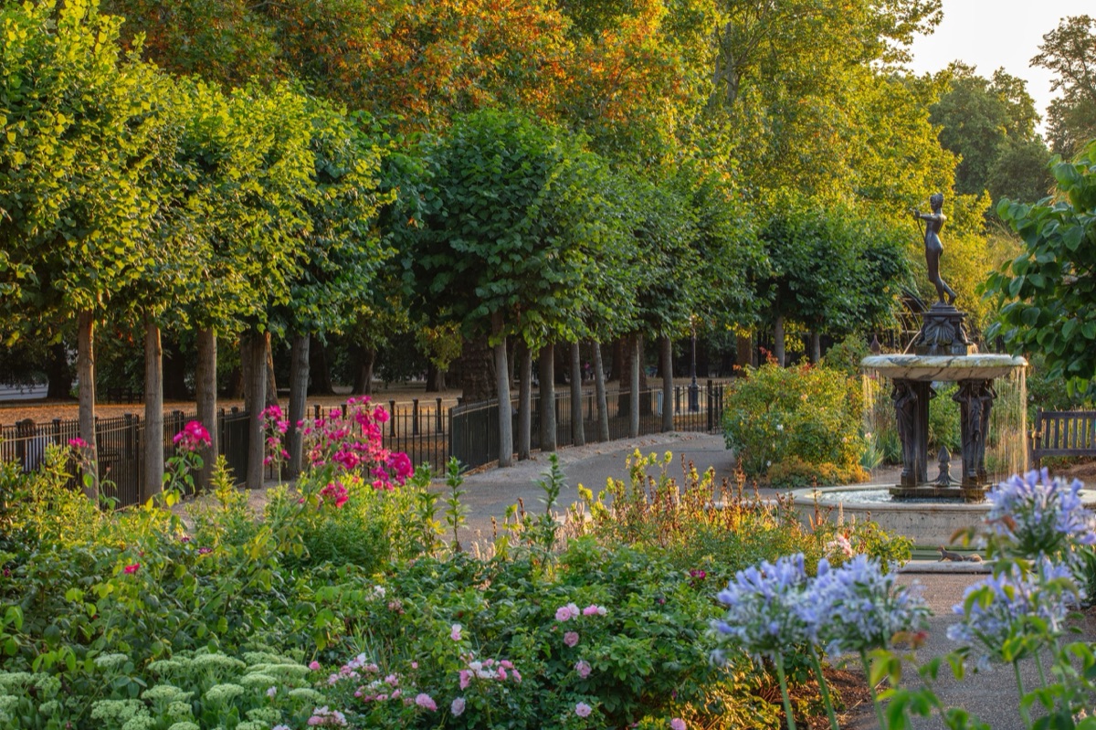 The Royal Parks – photograph 16 of 16 by Clive Nichols