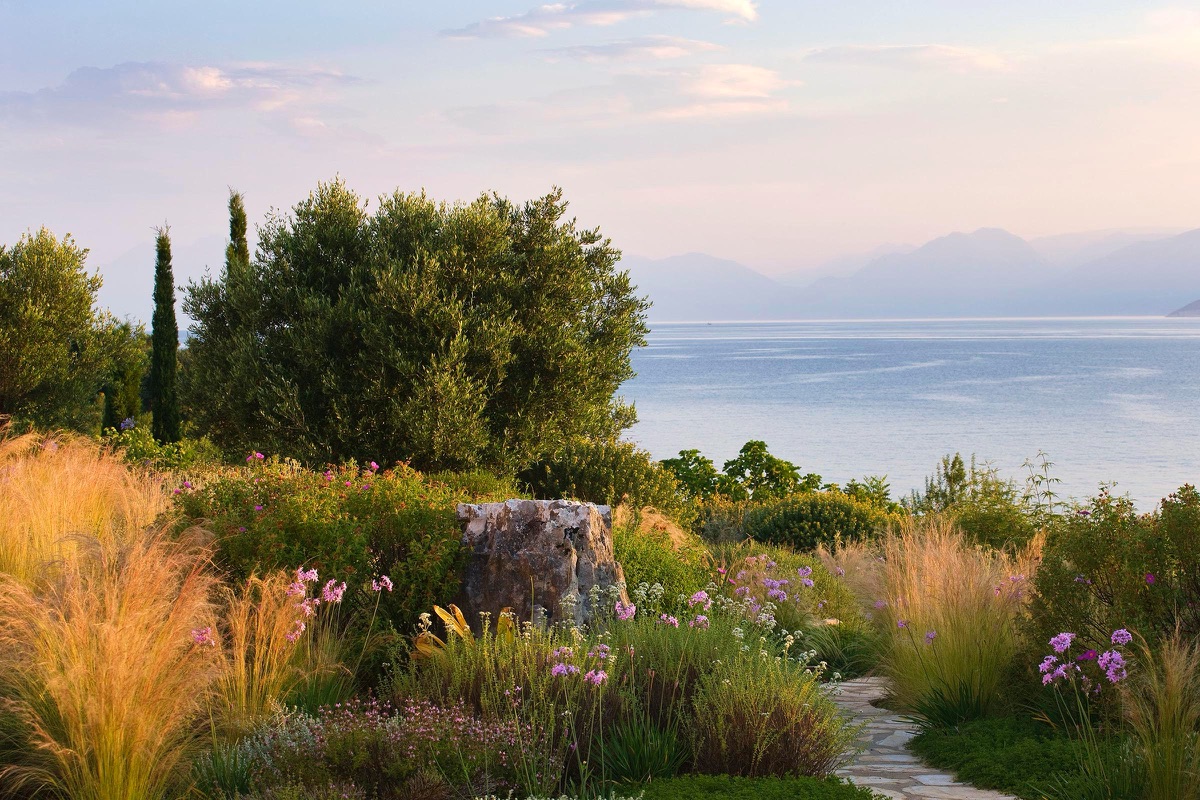 Stipa, olives and a stone stele above the sea in a garden on Corfu, in evening light