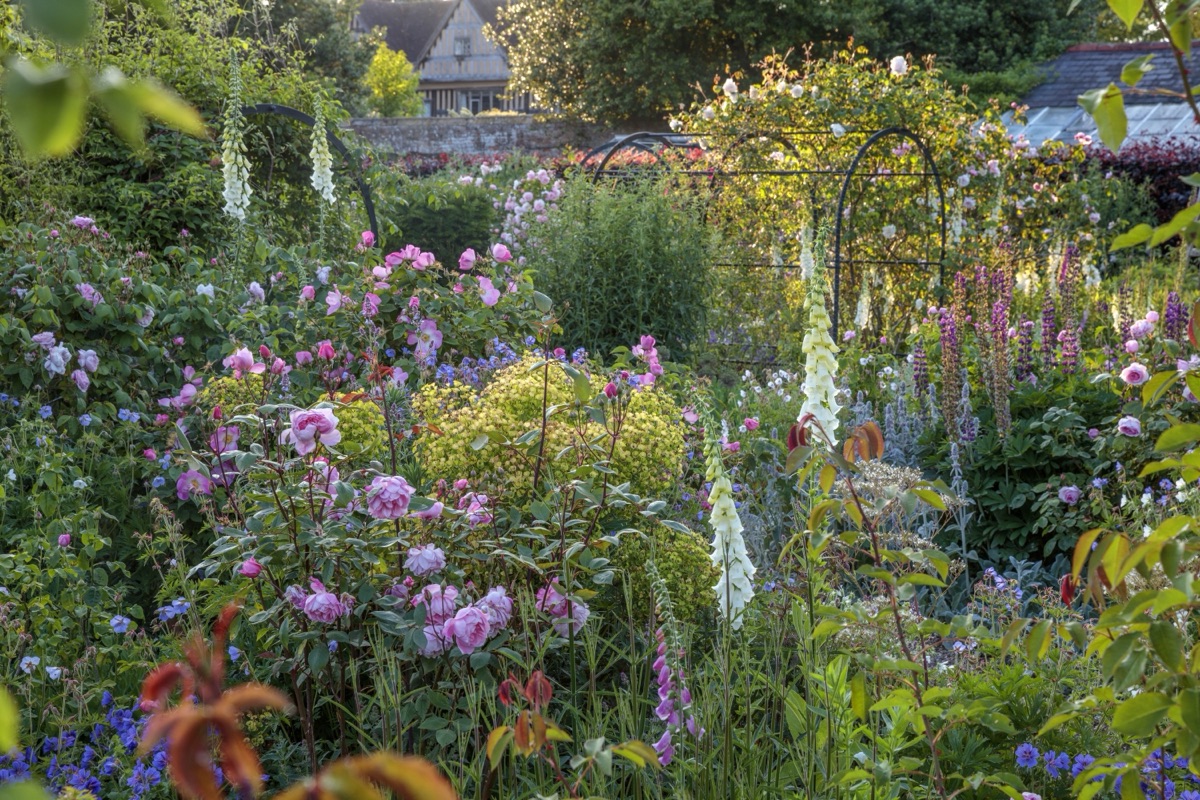 Summer borders at Coughton Court, Warwickshire