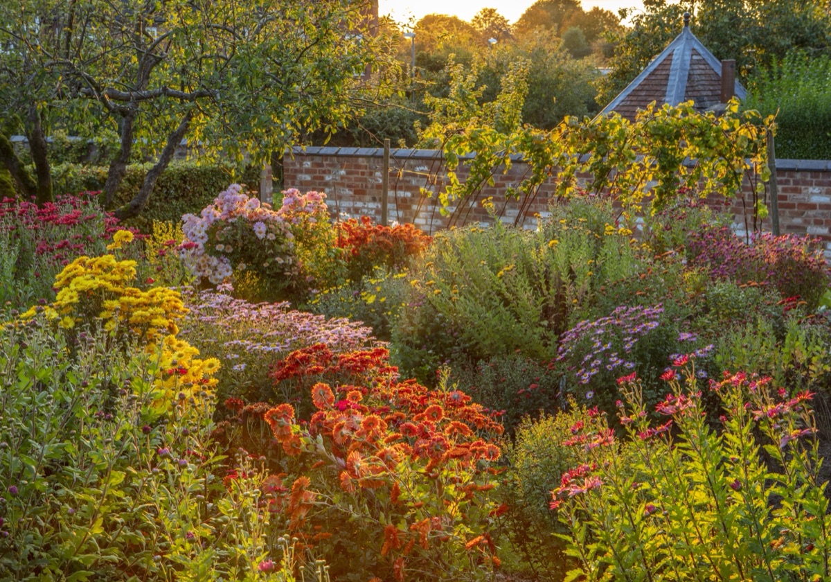 Autumn borders at Hill Close Gardens, Warwick
