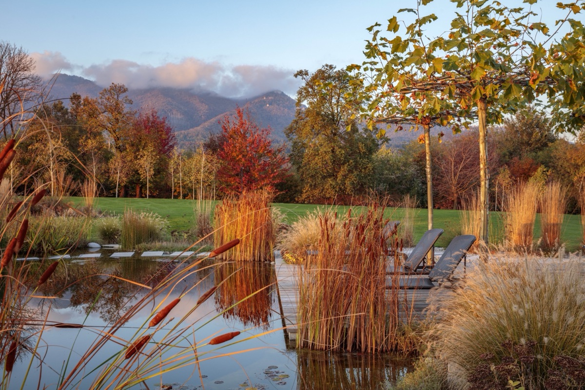 A natural swimming pond under a plane tree in an Italian garden by GPT Studio, in October