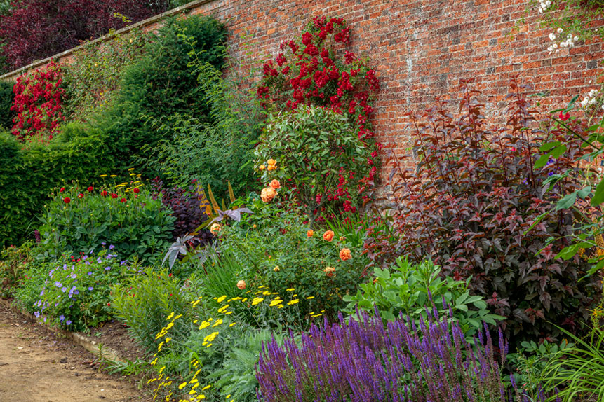 Workshops - Learn Garden and Flower Photography with Clive Nichols ...